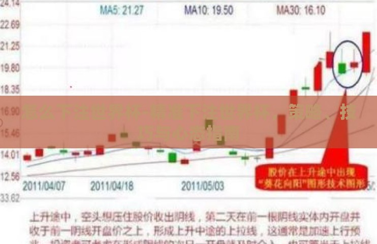 怎么下注世界杯-精准下注世界杯，策略、技巧与心态指南
