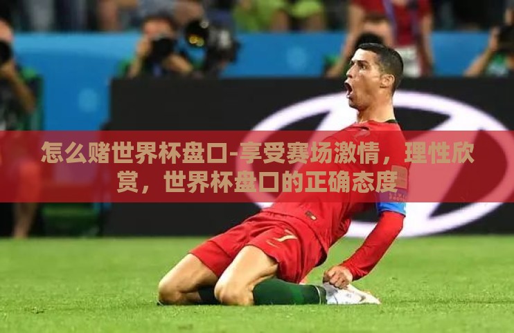 怎么赌世界杯盘口-享受赛场激情，理性欣赏，世界杯盘口的正确态度