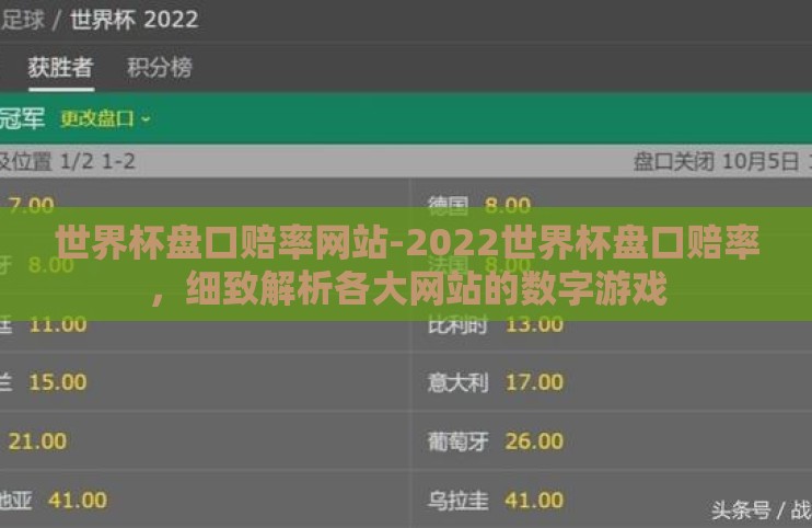 世界杯盘口赔率网站-2022世界杯盘口赔率，细致解析各大网站的数字游戏