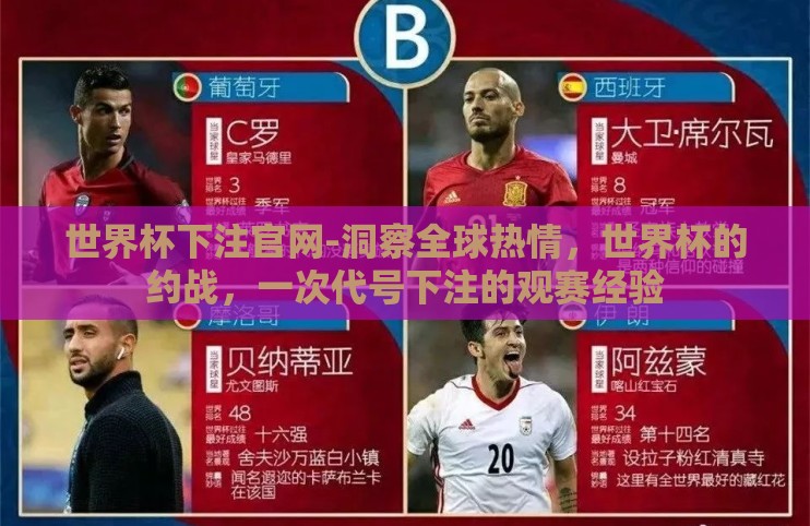 世界杯下注官网-洞察全球热情，世界杯的约战，一次代号下注的观赛经验