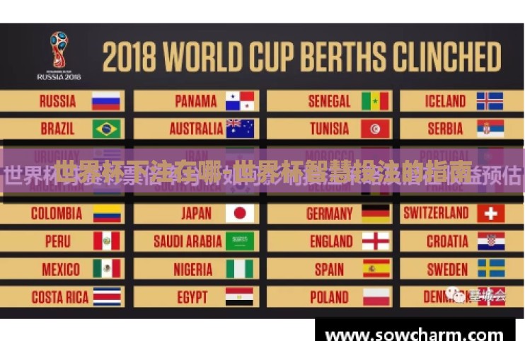 世界杯下注在哪-世界杯智慧投注的指南 世界杯下注在哪-世界杯智慧投注的指南