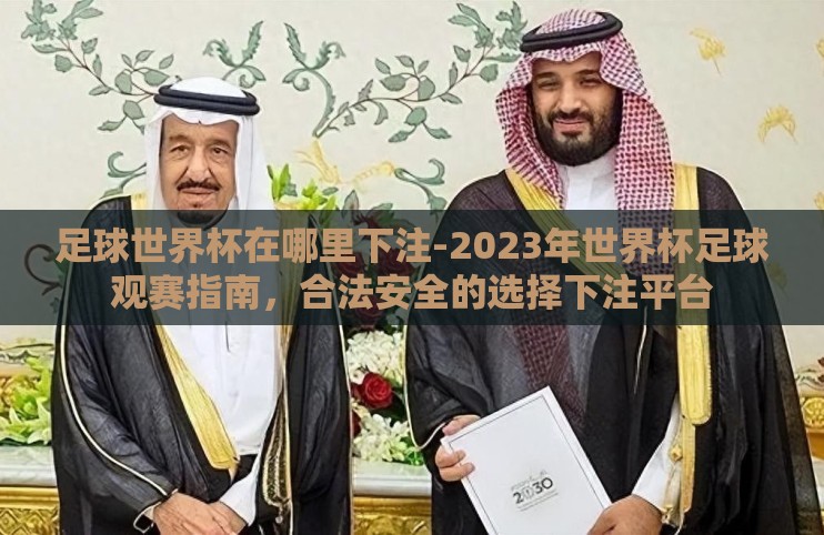 足球世界杯在哪里下注-2023年世界杯足球观赛指南，合法安全的选择下注平台