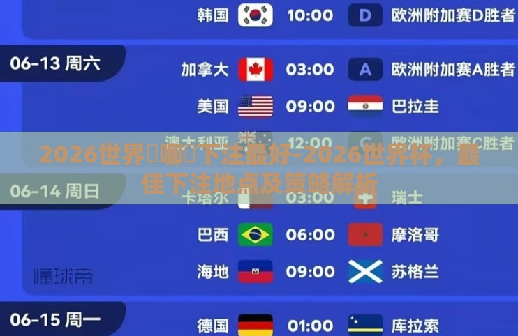 2026世界盃哪裡下注最好-2026世界杯，最佳下注地点及策略解析
