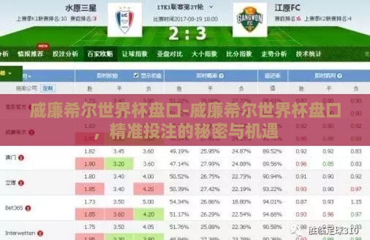 威廉希尔世界杯盘口-威廉希尔世界杯盘口,精准投注的秘密与机遇 威廉希尔世界杯盘口-威廉希尔世界杯盘口,精准投注的秘密与机遇