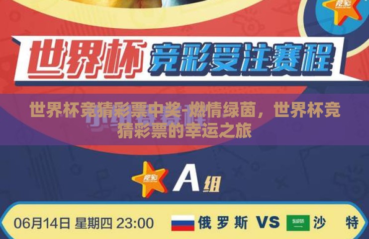 世界杯竞猜彩票中奖-燃情绿茵,世界杯竞猜彩票的幸运之旅 世界杯竞猜彩票中奖-燃情绿茵,世界杯竞猜彩票的幸运之旅