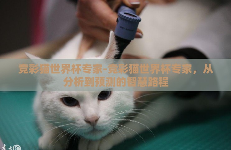 竞彩猫世界杯专家-竞彩猫世界杯专家,从分析到预测的智慧路程 竞彩猫世界杯专家-竞彩猫世界杯专家,从分析到预测的智慧路程