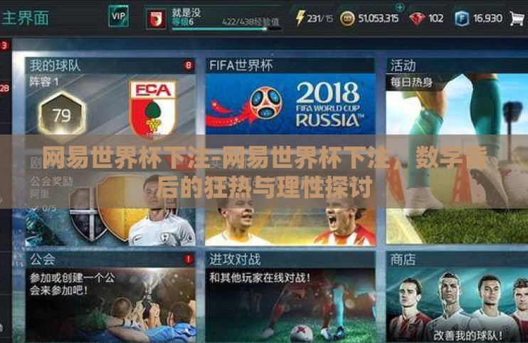 网易世界杯下注-网易世界杯下注，数字背后的狂热与理性探讨