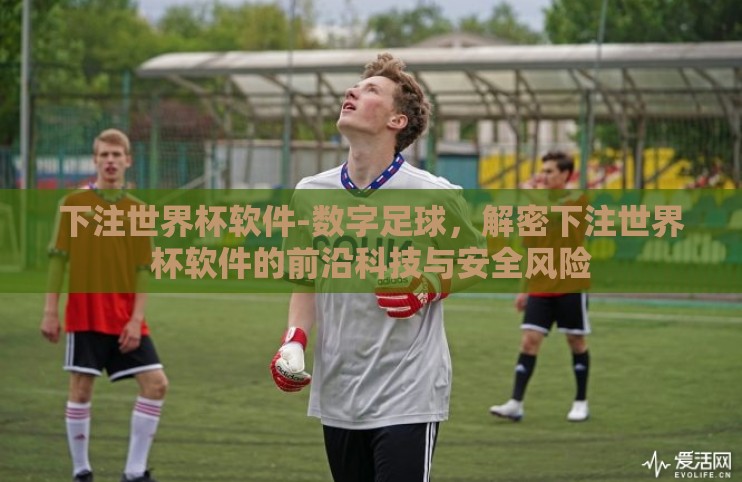 下注世界杯软件-数字足球,解密下注世界杯软件的前沿科技与安全风险 下注世界杯软件-数字足球,解密下注世界杯软件的前沿科技与安全风险