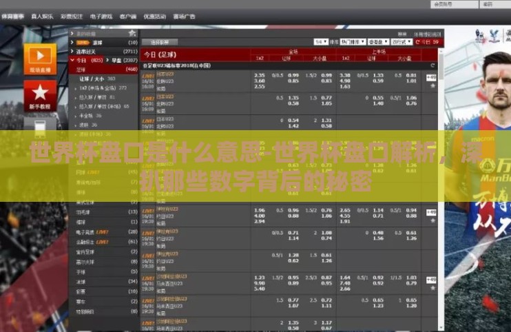世界杯盘口是什么意思-世界杯盘口解析,深扒那些数字背后的秘密 世界杯盘口是什么意思-世界杯盘口解析,深扒那些数字背后的秘密