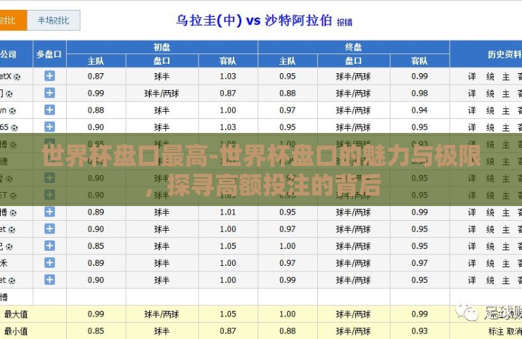 世界杯盘口最高-世界杯盘口的魅力与极限，探寻高额投注的背后