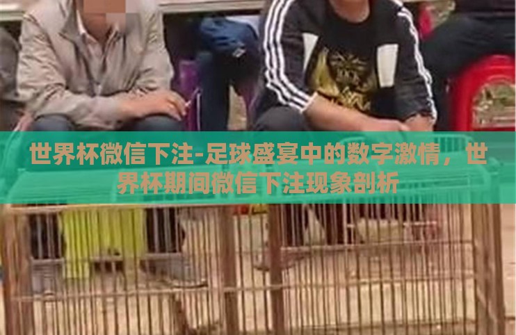 世界杯微信下注-足球盛宴中的数字激情，世界杯期间微信下注现象剖析