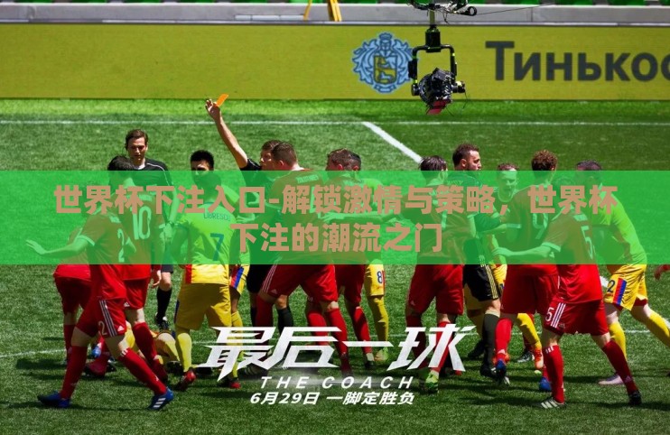 世界杯下注入口-解锁激情与策略，世界杯下注的潮流之门