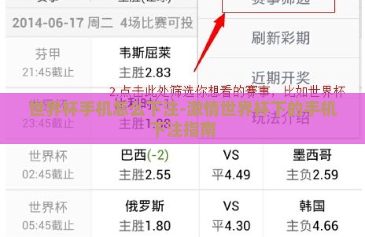 世界杯手机怎么下注-激情世界杯下的手机下注指南 世界杯手机怎么下注-激情世界杯下的手机下注指南