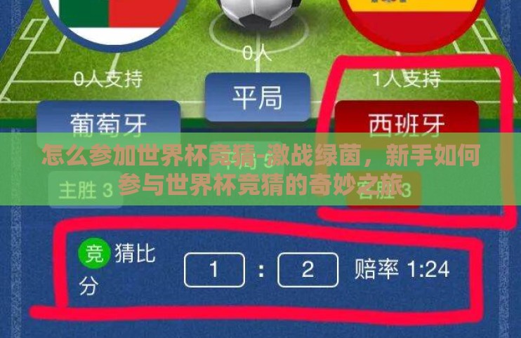怎么参加世界杯竞猜-激战绿茵，新手如何参与世界杯竞猜的奇妙之旅