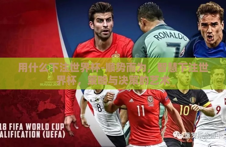 用什么下注世界杯-顺势而为,智慧下注世界杯,策略与决策的艺术 用什么下注世界杯-顺势而为,智慧下注世界杯,策略与决策的艺术