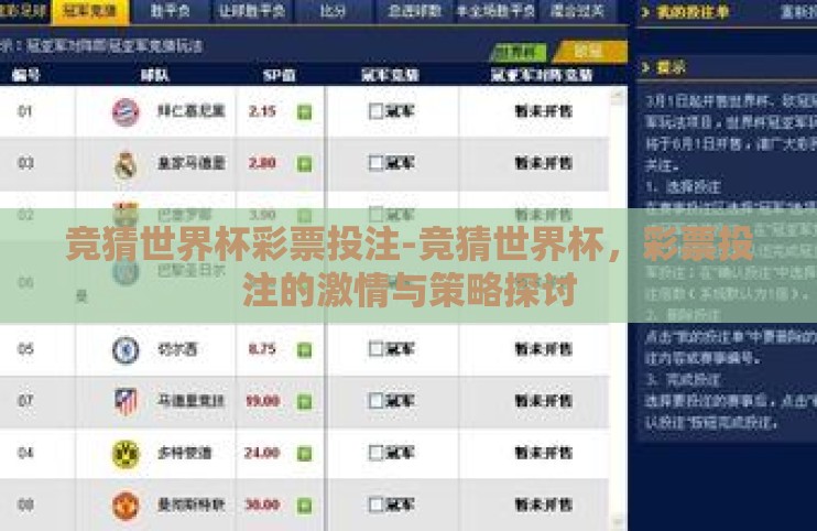 竞猜世界杯彩票投注-竞猜世界杯,彩票投注的激情与策略探讨 竞猜世界杯彩票投注-竞猜世界杯,彩票投注的激情与策略探讨