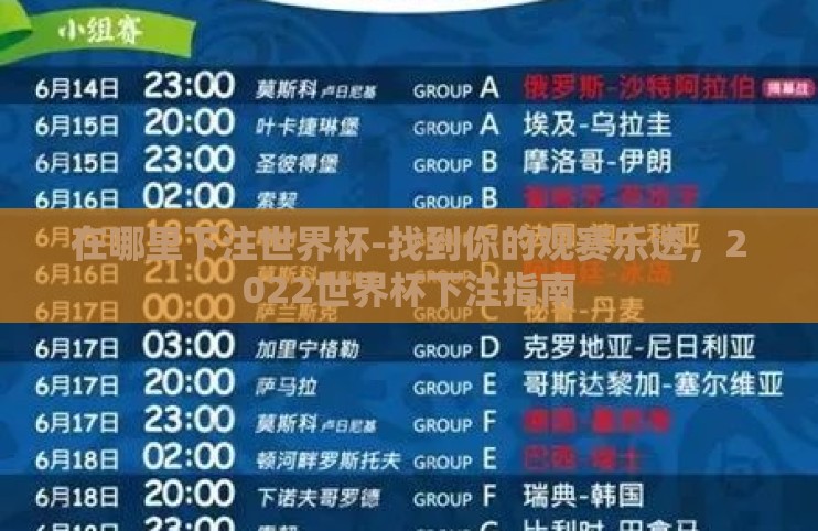 在哪里下注世界杯-找到你的观赛乐透,2022世界杯下注指南 在哪里下注世界杯-找到你的观赛乐透,2022世界杯下注指南