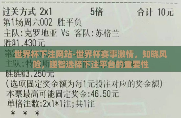 世界杯下注网站-世界杯赛事激情,知晓风险,理智选择下注平台的重要性 世界杯下注网站-世界杯赛事激情,知晓风险,理智选择下注平台的重要性