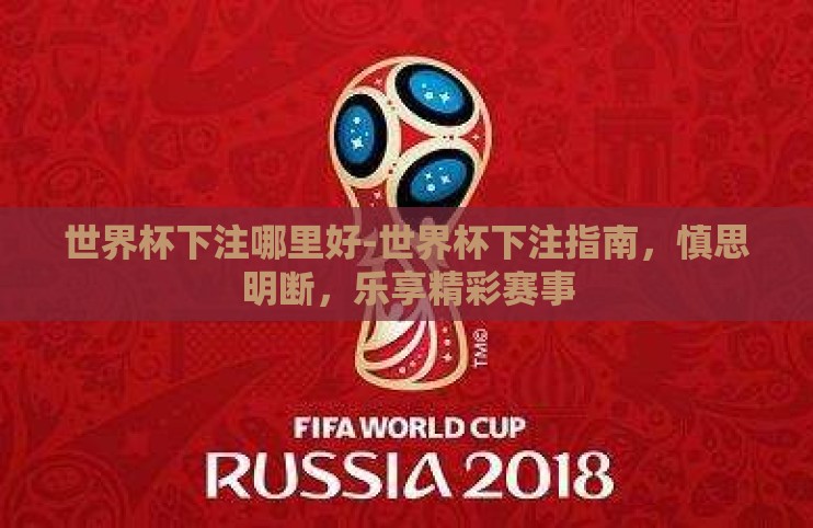 世界杯下注哪里好-世界杯下注指南，慎思明断，乐享精彩赛事