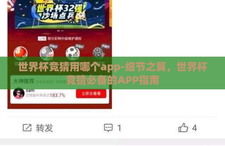 世界杯竞猜用哪个app-细节之翼，世界杯竞猜必备的APP指南