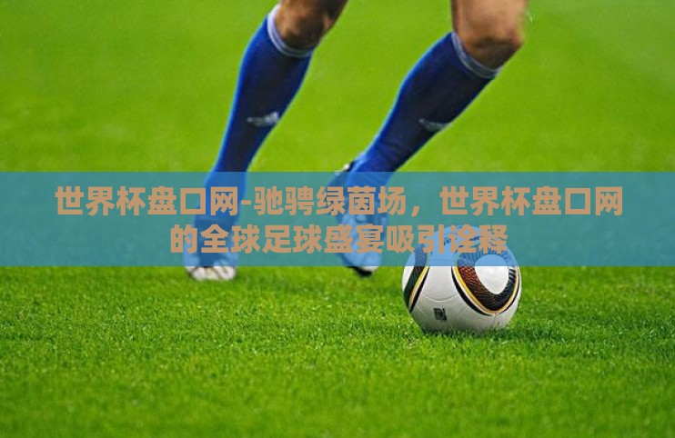 世界杯盘口网-驰骋绿茵场，世界杯盘口网的全球足球盛宴吸引诠释