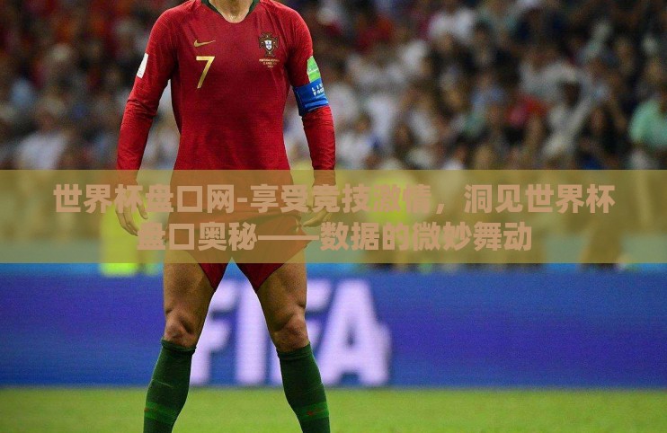 世界杯盘口网-享受竞技激情，洞见世界杯盘口奥秘——数据的微妙舞动