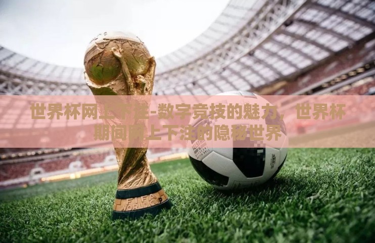 世界杯网上下注-数字竞技的魅力，世界杯期间网上下注的隐秘世界