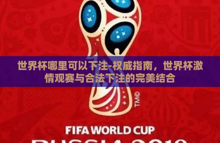 世界杯哪里可以下注-权威指南，世界杯激情观赛与合法下注的完美结合