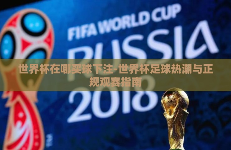 世界杯在哪买球下注-世界杯足球热潮与正规观赛指南