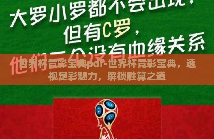世界杯竞彩宝典pdf-世界杯竞彩宝典，透视足彩魅力，解锁胜算之道