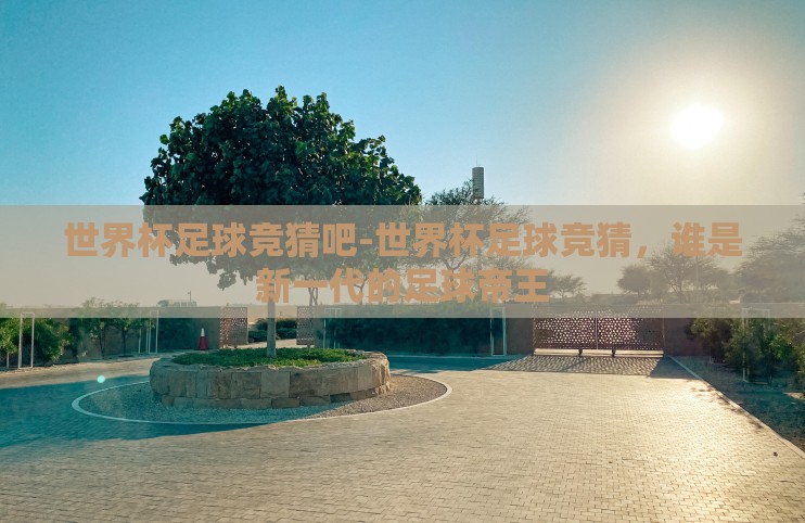 世界杯足球竞猜吧-世界杯足球竞猜，谁是新一代的足球帝王