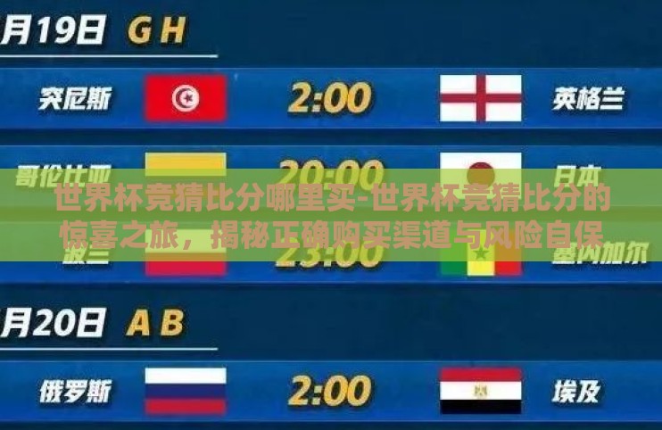 世界杯竞猜比分哪里买-世界杯竞猜比分的惊喜之旅，揭秘正确购买渠道与风险自保