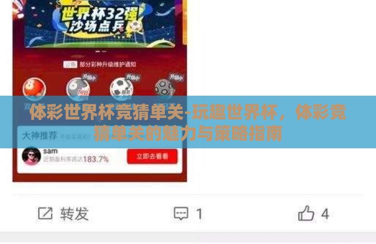体彩世界杯竞猜单关-玩趣世界杯，体彩竞猜单关的魅力与策略指南